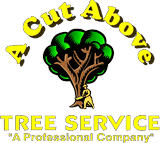 A Cut Above Tree Service LLC | South Jersey
